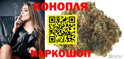 спиды Кингисепп