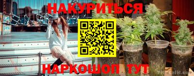 спиды Кингисепп