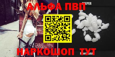 спиды Кингисепп