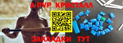 спиды Кингисепп