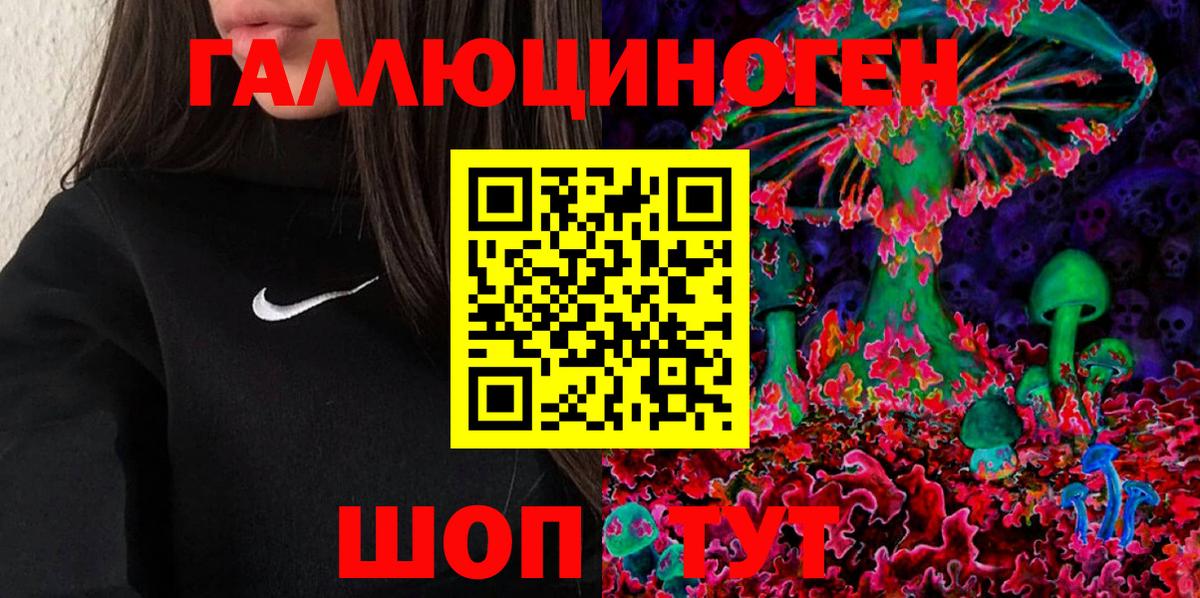 Галлюциногенные грибы Cubensis  Псилоцибиновые грибы Psilocybine cubensis  Крымск  Вход с VPN 